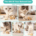Plush Catnip Mice Toys with Rattle Sound- 2 Pcs Interactive Cat Toys for Indoor Cats, Durable Stress Relief Eco-Friendly