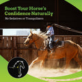SynNutra Equine SynChill AF Horse Calming Supplement Gel, 3 Pack