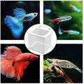 MY MIRONEY 6.3" x 5.63" x 6.22" Fish Incubator Mesh Box Pack of 2