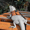 3 Pack Bearded Dragon Harness and Leash Set - Adjustable Soft Leather Lizard Harness with Retractable Leash Small Animal