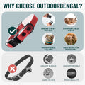OutdoorBengal Durable Breakaway Cat Collar, No Bell (Blue, M/L)