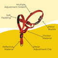 Adjustable Dog Head Halter with Safety Strap, Soft Padded Dog Head Collar for Small Medium Large Dogs, No-Pull Dog Harne