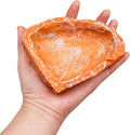 3 Pack Reptile Food Dish, Resin Hermit Crab Food & Water Bowl, Reptile Feeding Food Dish Kit, Tank or Aquarium Accessory