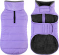Petglad Waterproof Dog Winter Coat, Warm Fleece Snow Jacket with Leash Hole