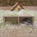 Hamster Peep Tunnel, 2-Chamber Wooden Hamster Hideout, Water-Resistant Platform for Dwarf Hamsters and Small Pets, 8.3" 