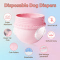 Ambreview Disposable Dog Diapers Female, Just Pull It Up, Doggie Diapers for Female Dogs, Strong Absorbency | Leak Proof, for Dogs in Heat | Elderly | Disabled, M 10 PCS