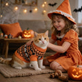 KOOLTAIL Halloween Cat Sweater for Cats Only, Knit Pumpkin Ghost Costume, M