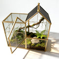 Ready-to-Use Glass Terrarium with Vents - 8.66"x4.72"x8.46" House-Shaped Jumping Spider Enclosure, Habitat for Praying M