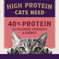 Natural Balance Ultra Protein Plus, Real Salmon & Chicken Meal, 5 lb