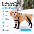 Walkee Paws Dog Snow Boots for Winter, Booties & Leggings