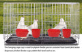 ORIBUKI Cage Cups Birds Feeders Seed Bowl Chicken Feeding Watering Dish Rabbit Water Food Hanging Wire Cages Box 8oz Coop Cups for Pet Parrot Parakeet Gamefowl Poultry Pigeon (10PCS Red)