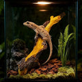 Reptile Climbing Tree Branch: Resin Wood Decor for Terrarium