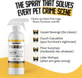 P*SS OFF+ All Purpose Stain and Odor Remover - Professional Strength Cat Pee Odor Eliminator (32oz - No Black Light)