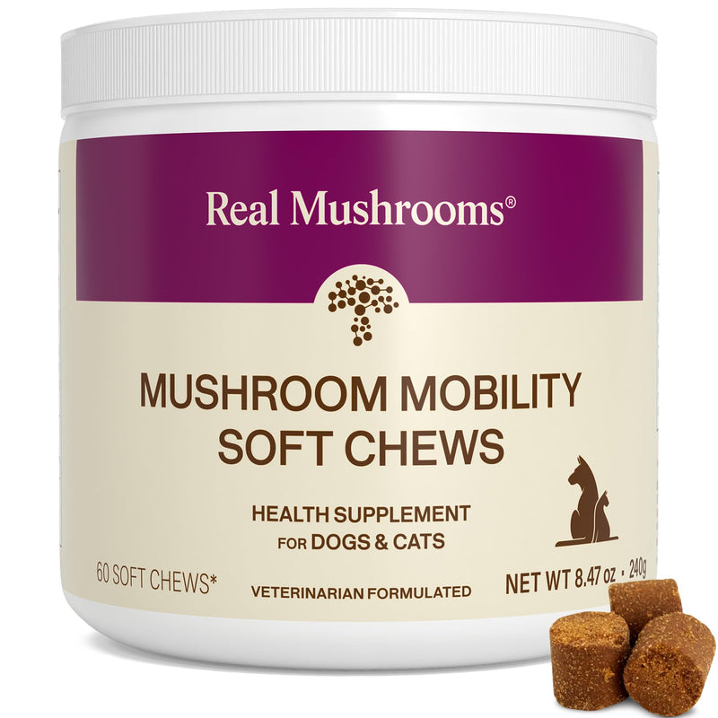 Real Mushrooms Mobility Chews for Dogs & Cats – Green Lipped Mussel & ErgoGold Mushroom Blend – Dogs & Cat Vitamins Treats for Active Routines – Joint, Hip & Flexibility Support – 240 ct Supplement