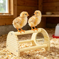 Cubolar Pine Chicken Perch with Mirror, Strong Chick Jungle Gym Roosting Bar, Chicken Toys for Coop and Brooder, Training Perch Toys for Large Bird, Parrot, Macaw, Hens (Small)
