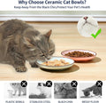 Selamica 6 Inch Ceramic Cat Bowls, Set of 6