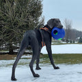 Jolly Pets Teaser Ball Interactive Dog Toy, 8 in Large