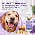 Mighty Petz 2-in-1 Oatmeal Dog Shampoo and Conditioner – 16 oz Natural Support for Allergies, Itchy Sensitive Skin. Moisturizing & pH Balanced for Dogs with Oatmeal and Aloe Vera
