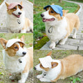 Dog Baseball Cap,Pet Summer Beach Hat,Dog Cat Sunbonnet Cap with Ear Holes,Adjustable Cat Visor for Small Medium Large Dogs (Blue, Medium)