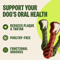 Wellness WHIMZEES Value Pack Natural Dog Dental Treat, Chews, Freshens Breath, Extra-Large Size, 64 oz Box, 15 Count