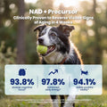 Boops Pets NAD+ Precursor & Senior Dog Supplement - 90 Soft Chews - NMN Alternative for Longevity & Healthy Aging - Nicotinamide Riboside, Resveratrol, Quercetin, Made with Pasture-Raised Chicken