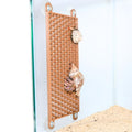 Lucky Critter Hermit Crab Ladder Climbing Toy | Hermit Crab Tank Enrichment Decor | Hermit Crab Decoration Accessories Supplies Toys Ornaments
