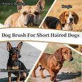 Soft Boar Bristle Dog Brush for Short Haired, Ideal Pet Hair Brush
