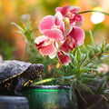 Chuangdi 2 Pcs Artificial Phalaenopsis