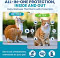Chewable Flea Treatment for Cats Flea and Tick Prevention for Cats Chewables Fleas Chewables for Cat of All Breeds and A