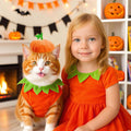 ABRRLO Funny Dog Pumpkin Costume Small Dog Cat Halloween Costumes Boy Girl Cute Halloween Dogs Shirt with Leash Ring Pum