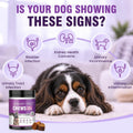 Dog UTI Treatment, 200 Soft Chews Cranberry Supplement for Dogs with D-Mannose Support Normal Urinary Tract Bladder Health & Kidney & Incontinence Remedy Stops