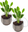 Pawfly 2 Pcs Aquarium Plant Holder, Fish Tank Plant Pot for Aquascape Decoration, Red Worm Fish Feeder, Aquarium Planter