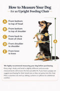 Bailey Chair for Dogs – Adjustable Wooden Feeding Chair with Tray, Upright Megaesophagus Support, Handmade Birch Plywood