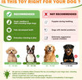 WOWBALA Dog Squeaky Toys Stretchable Crocodile for Interactive Tug of War