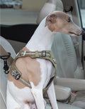 Truelove Lightweight Dog Car Seatbelt Safety Buckle Lock, Dog Seat Belt for Car, Fit Dog Car Harness/Collar for Small, M