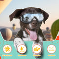 Dog Goggles Large Breeds, Large Dog Sunglasses Eye Protection, Windproof Goggles for Medium Large Dogs Riding Biking Dri