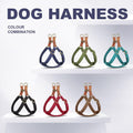 Didog Step in Dog Harnes for Small Dogs, Brown, S, Chest 14-22"