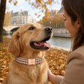 Elegant little tail Fall Dog Collar, Autumn Pet Collar Durable Yellow Plaid Dog Collars Male or Female Holiday Pet Gift 