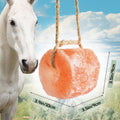 Himalayan Pink Salt Lick, Animal Licking Salt Mineral Rock (2PCS)