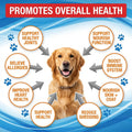 Wild-Caught Salmon Oil for Dogs & Cats - Omega 3 EPA DHA,Fish Oil Liquid Supplement for Skin & Coat, Joint & Bone Health (8 FLOZ)
