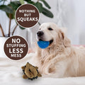 2-in-1 No-Stuffing Hedgehog Dog Toys 3 PCS, Squeaky Ball for Throwing Play