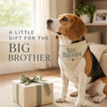 Big Brother Dog Bandana with No-Tie Adjustable Buckle — Pregnancy Announcement Photo Prop, Beige Cotton Triangle Scarf, 