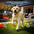 Healthy Dogma Homestyle PetMix Dehydrated Dog Food, Beef, Raw