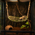 Reptile Hammock, Handmade Moss Bridge for Small Reptiles