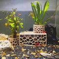 Porous Aquarium Shrimp Hideout with 2 Plant Cups, Multifunctional Fish Tank Breeding Shelter, Aquatic Plant Planter Brac
