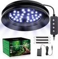 UVB Light for Reptiles with Dimming, LED UVB Light Bulb Fixture for Bearded Dragon Gecko Lizard Turtle Snake, Adjustable