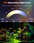 Pawfly 5 W Aquarium LED Light 8 Inch 24/7 Fish Tank Light with Full Spectrum Brilliant White Blue Red Green Lights Multi