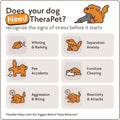 TheraPetMD 60-Day Dog Calming Diffuser Kit - Dog Pheromone Diffuser for Stress, Destructive Behavior, Pee Accidents, Sep