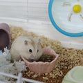 Small Ceramic Pet Hamster Bowl, Easy to Clean Anti Flipping Hamsters Food and Water Bowl, Small Animal Bowls for Dwarf H