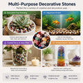 Natural Mixed Gemstone Crystal Chips – Polished Crystals Gravel Stones for Succulent Top Dressing, Aquarium Gravel, Vase